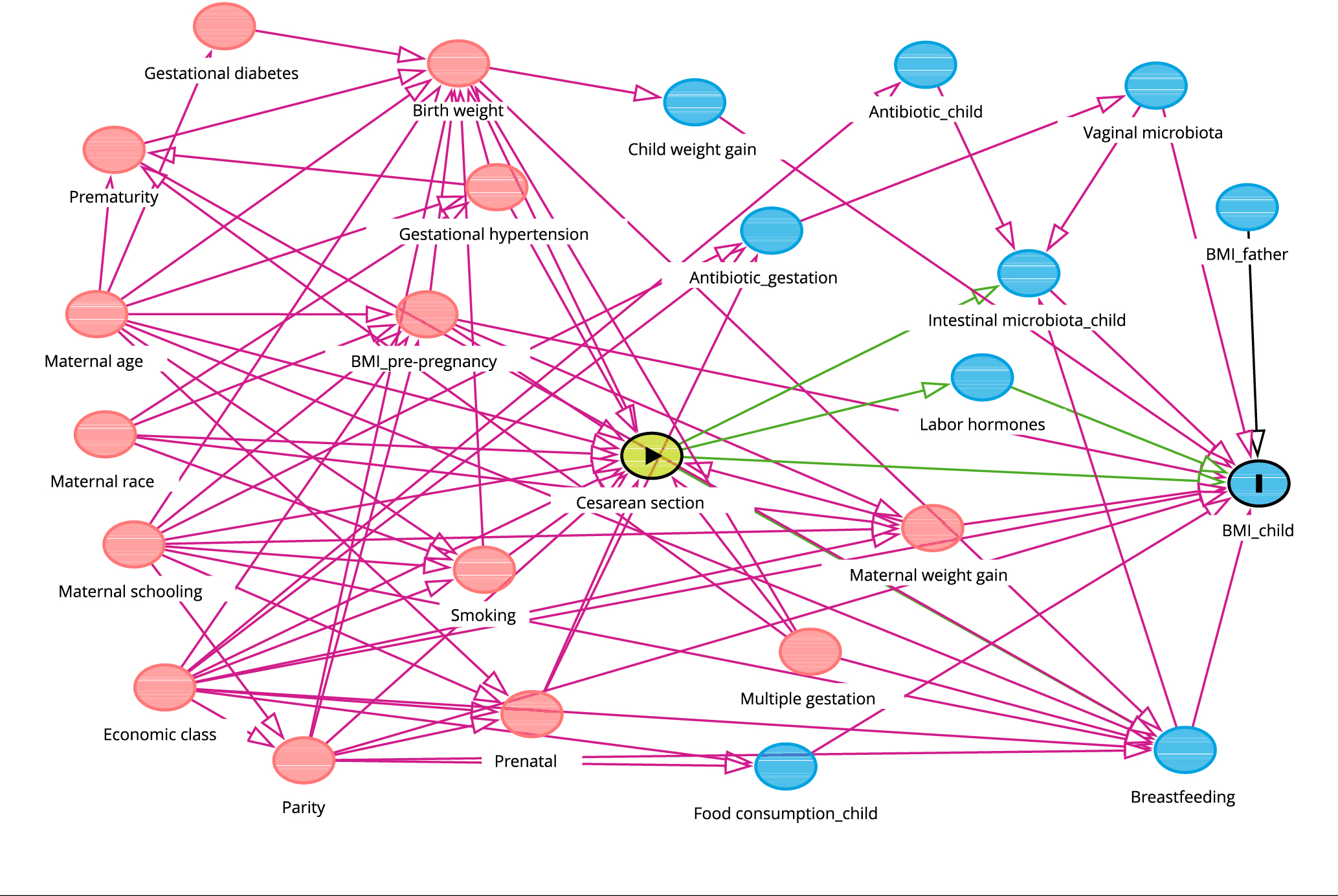 DAG from Cavalcante et al. 2022